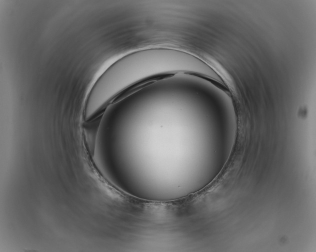 X0000091330956200708171348