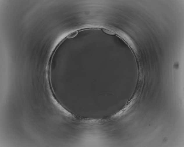 X0000091330958200708171348