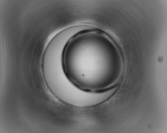 X0000091330960200708171348