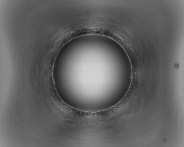 X0000091330961200708171348