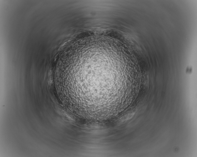 X0000091330962200708171348