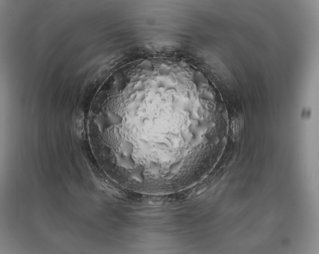 X0000091330963200708171347