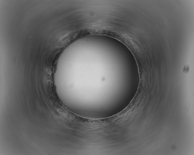 X0000091330964200708171347