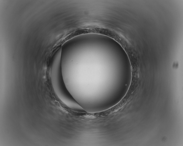 X0000091330965200708171347