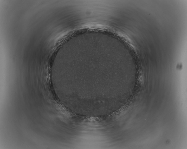 X0000091330966200708171347