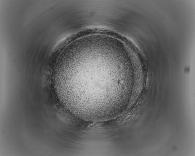 X0000091330967200708171347