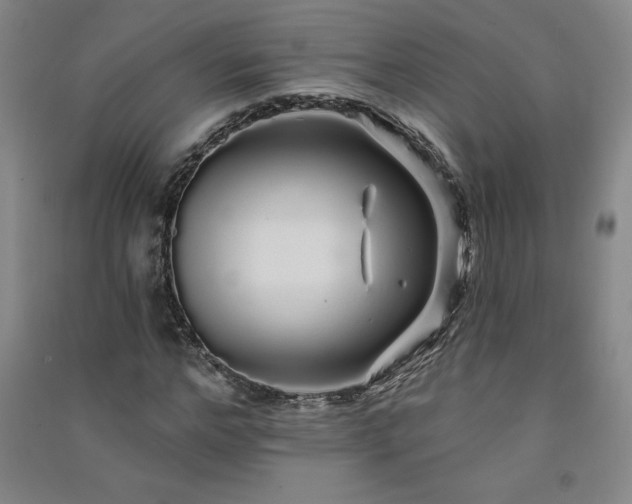 X0000091330968200708171347