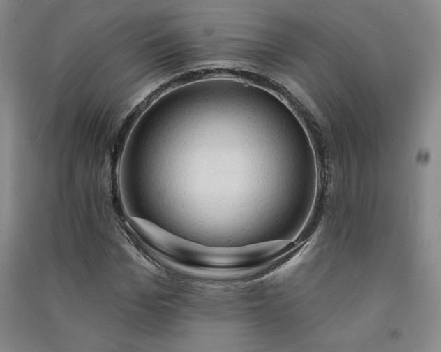 X0000091330969200708171347