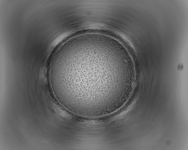 X0000091330970200708171347