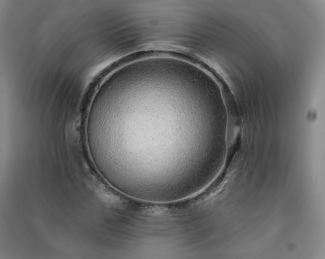 X0000091330971200708171347