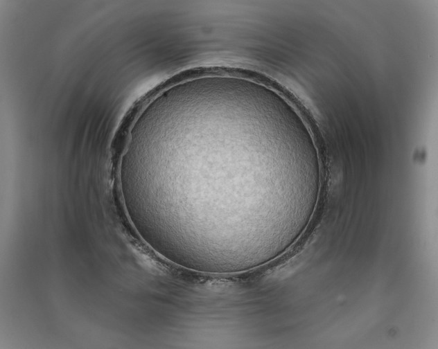 X0000091330974200708171347