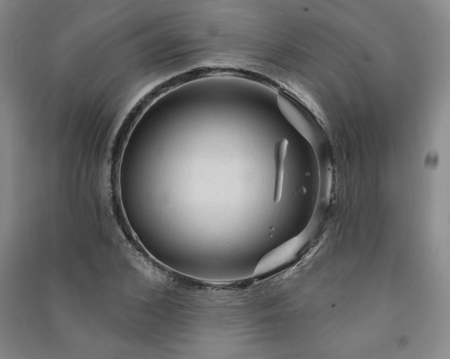 X0000091330976200708171347