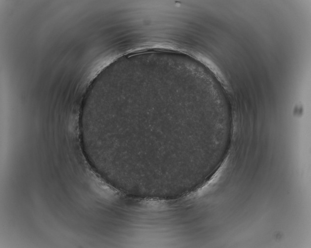 X0000091330977200708171347