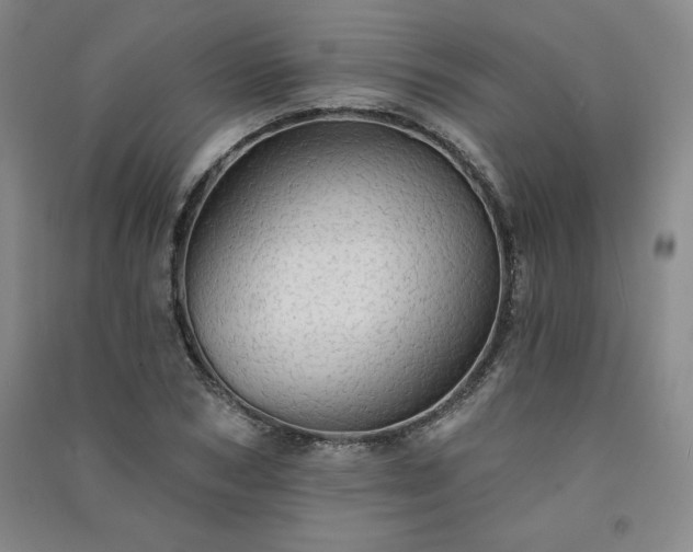 X0000091330978200708171347