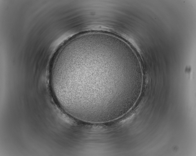 X0000091330979200708171347