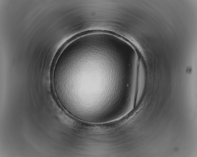 X0000091330980200708171347