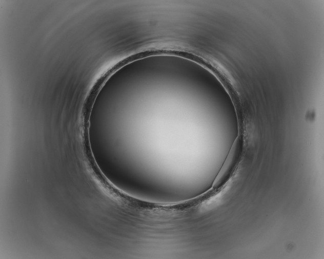 X0000091330981200708171347