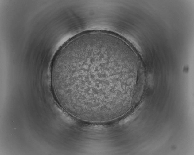 X0000091330982200708171347