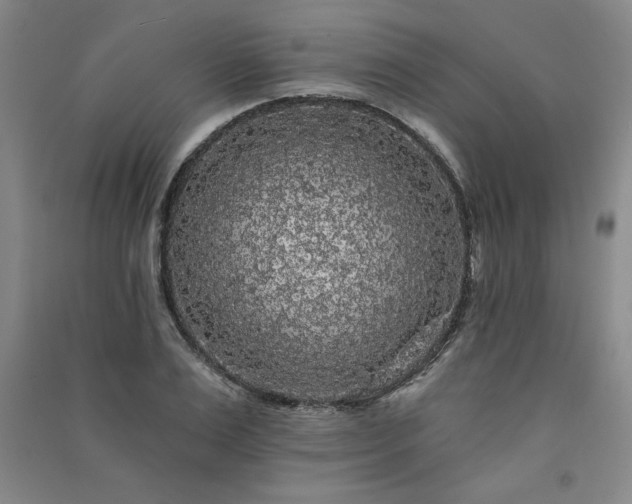 X0000091330983200708171347