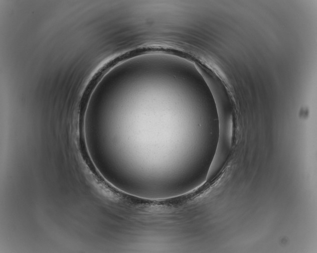 X0000091330984200708171347