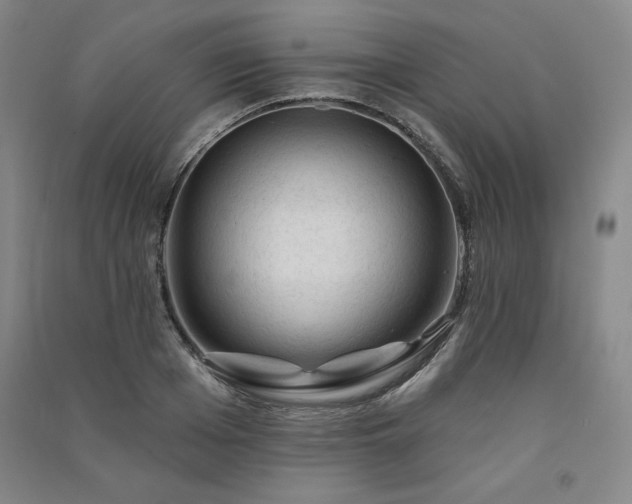 X0000091330985200708171347