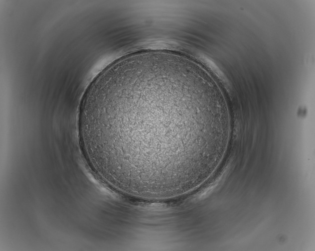 X0000091330986200708171347