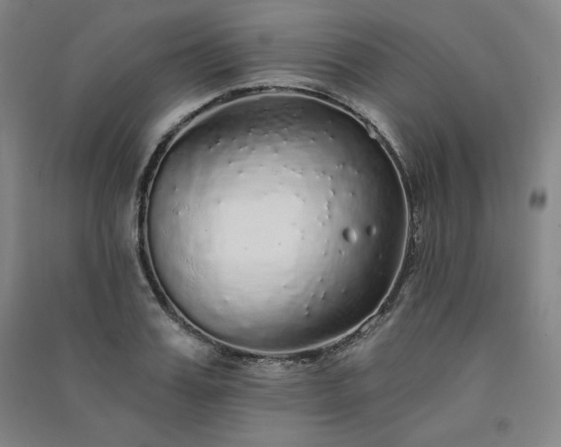 X0000091330987200708171347