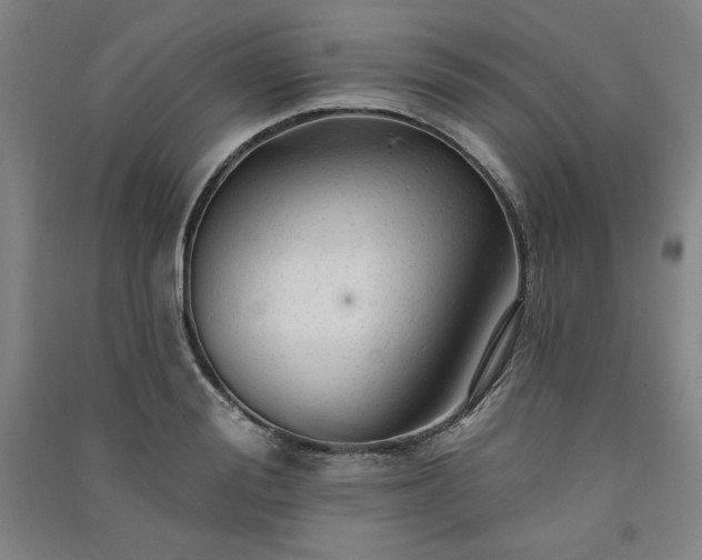 X0000091330988200708171347