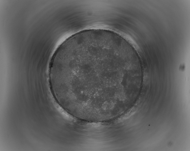 X0000091330990200708171347