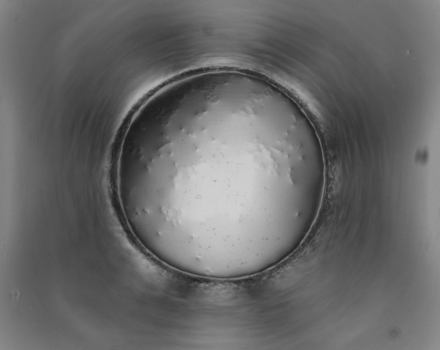 X0000091330991200708171347