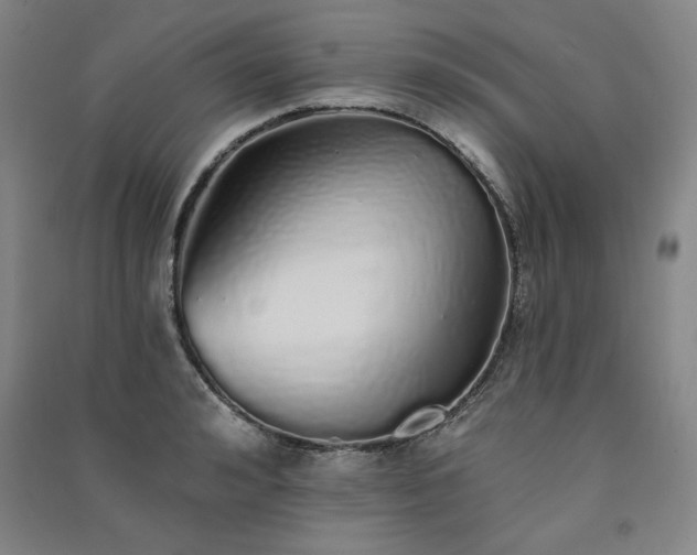 X0000091330992200708171347