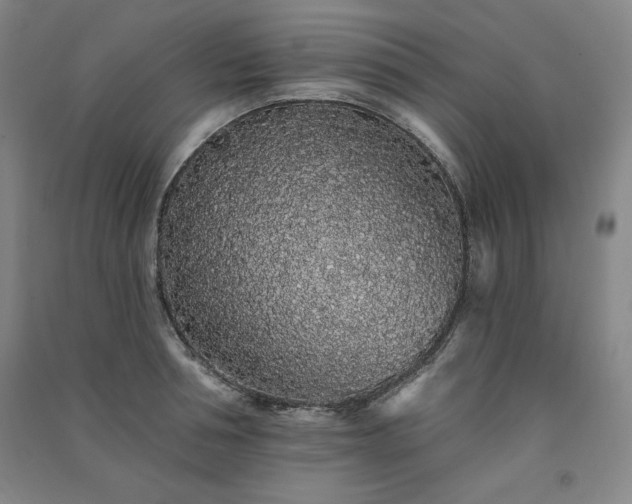 X0000091330994200708171347