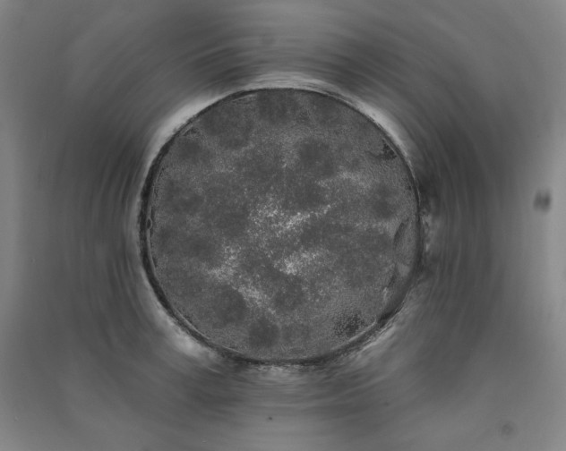 X0000091330995200708171347