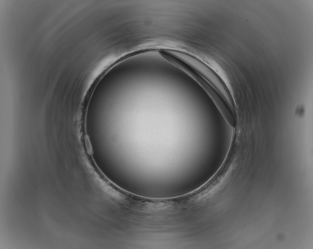 X0000091330997200708171347