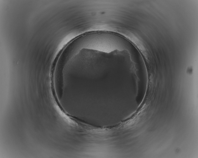 X0000091330998200708171347