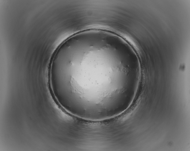 X0000091330999200708171347