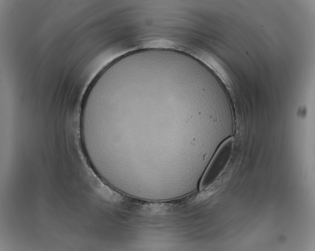 X0000091331000200708171347