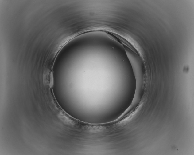 X0000091331001200708171347