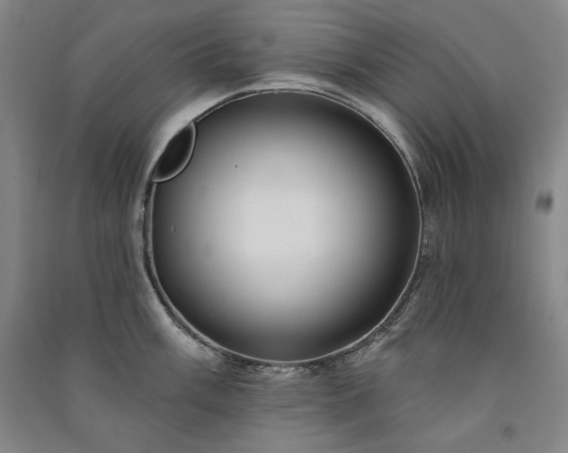 X0000091331003200708171347