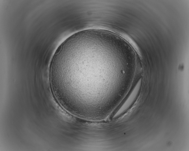 X0000091331004200708171347