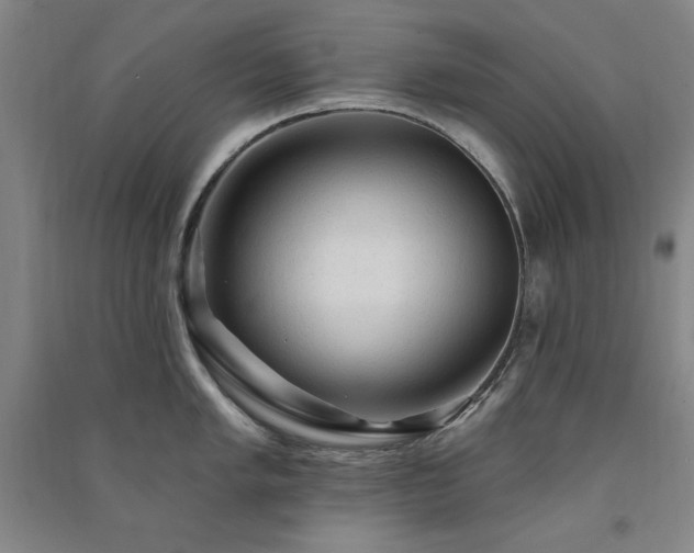 X0000091331005200708171347