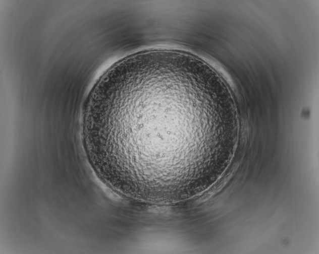 X0000091331006200708171347