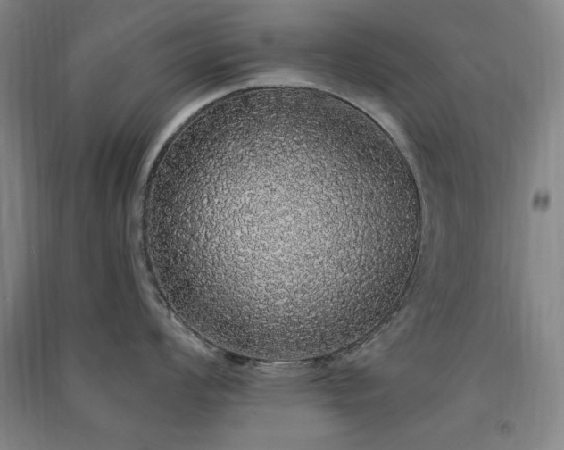 X0000091331008200708171347