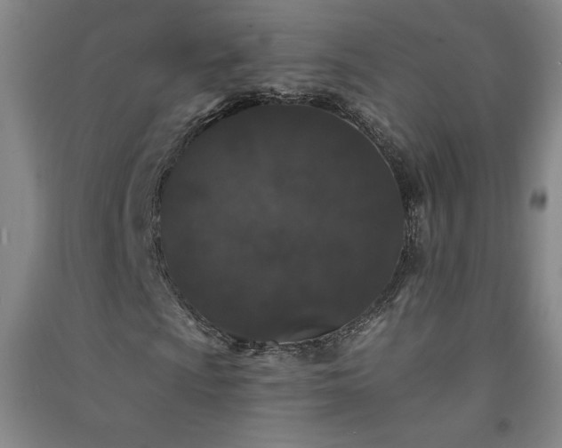 X0000091331009200708171346