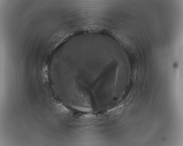 X0000091331010200708171346