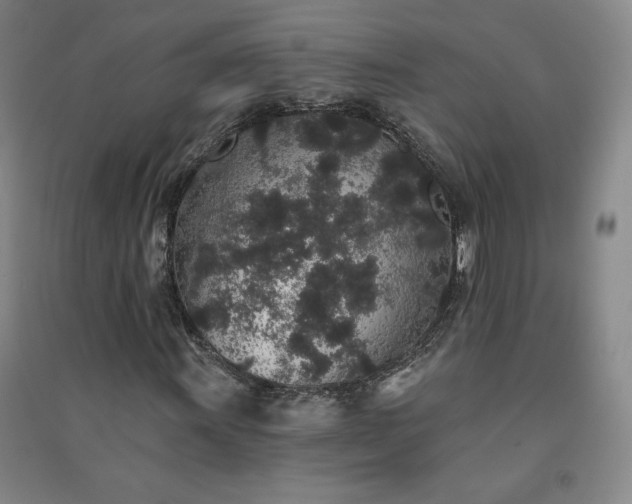 X0000091331011200708171346