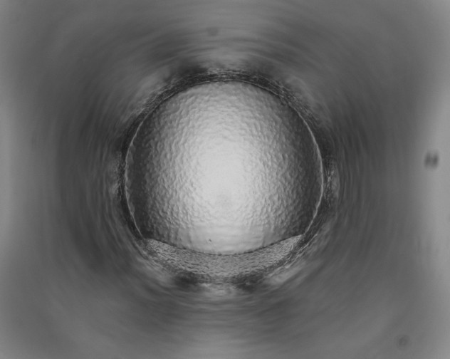 X0000091331012200708171346