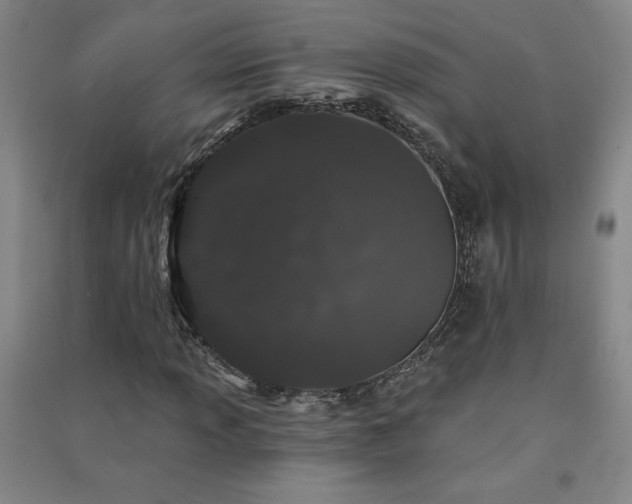 X0000091331013200708171346