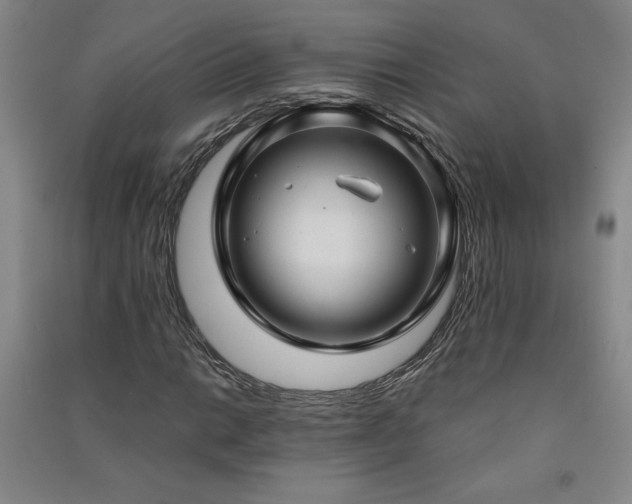 X0000091331014200708171346