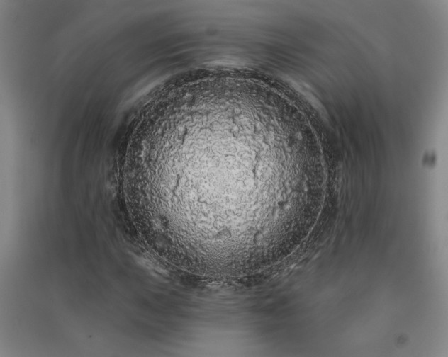 X0000091331015200708171346